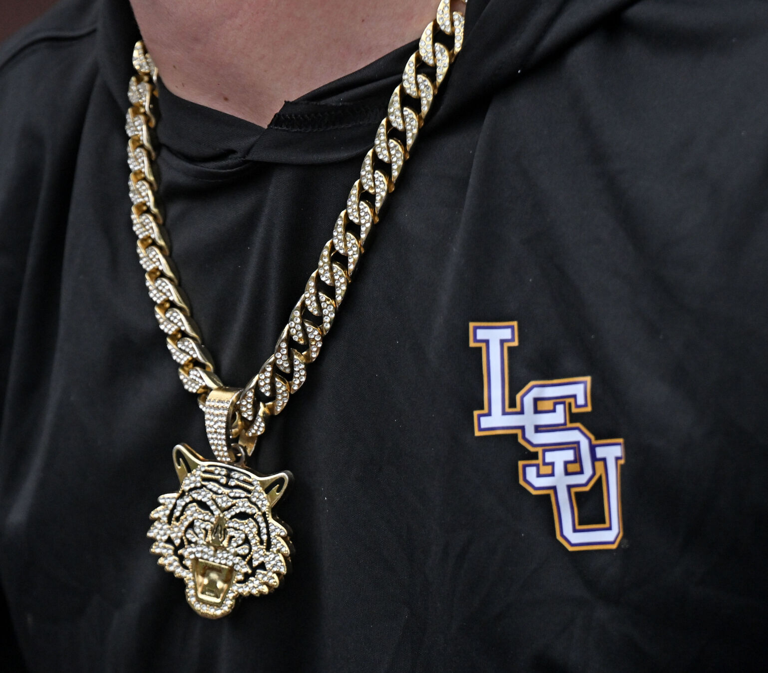 BR.lsuarkcws.061925 HS 412.JPG